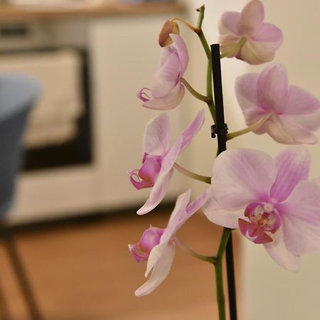 Ηλιόλουστο Apartman Athén Kültér fotó