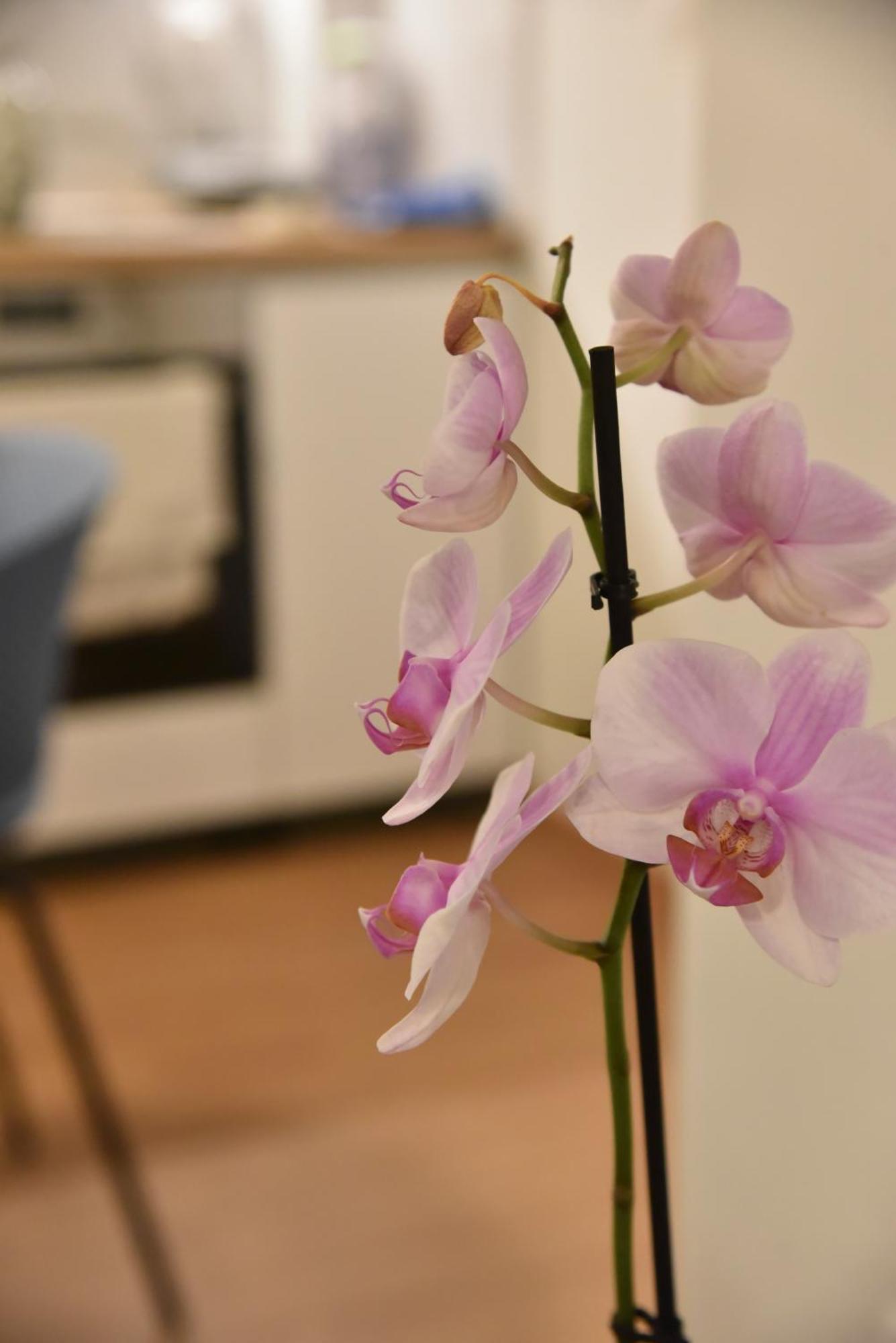 Ηλιόλουστο Apartman Athén Kültér fotó